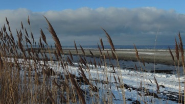 VED STRANDEN - LYSTRUP STRAND, VINTER 1.jpg